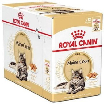 Royal Canin Maine Coon gravy ve šťávě 12x85g