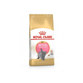 Royal Canin British Shorthair Kitten 10 kg