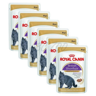 Royal Canin British Shorthair gravy ve šťávě 12x85g