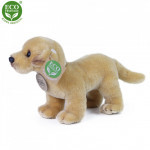 Plyšový labrador stojící 20 cm ECO-FRIENDLY