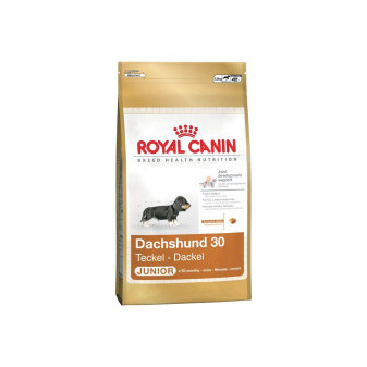 Royal Canin BHN JEZEVCIK JUNIOR 1,5kg