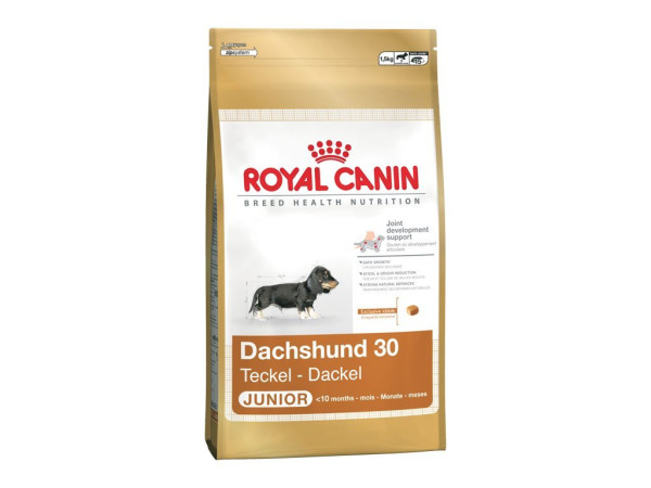 Royal Canin BHN JEZEVCIK JUNIOR 1,5kg