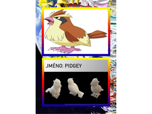 3D figurka pokemona: PIDGEY Hráčská karta