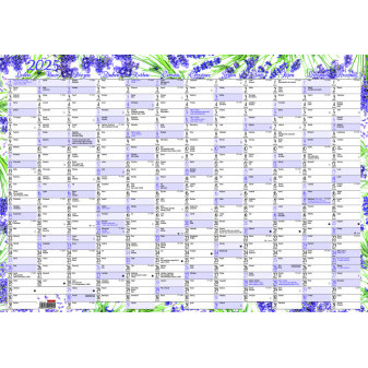 Nástěnný roční kalendář (600x420 mm) - Levandule