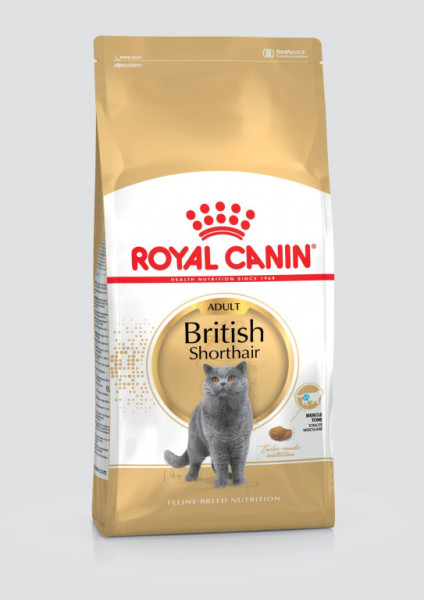 Royal Canin British Shorthair 10 kg