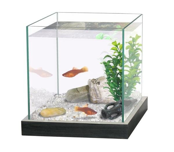 CATGATO Akvarium Cubic cerne 20x20x20