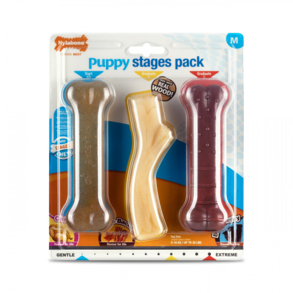 Nylabone hračka Puppy kost příchuť kuřecí, slanina+javor.sirup, hovězí M 3ks