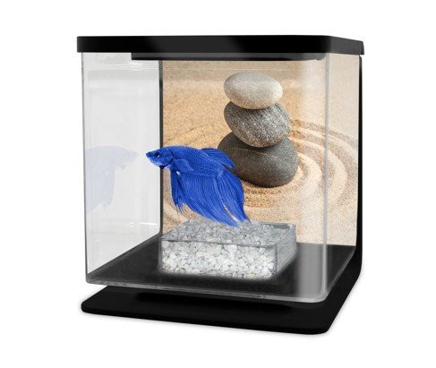 CATGATO Betarium Betta kit sand 2l