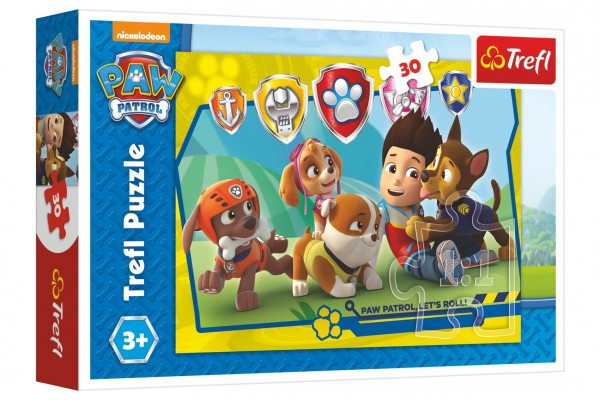 Puzzle Paw Patrol/Tlapková patrola Ryder a kamarádi 27x20cm 30 dílků v krabičce 21x14x4cm