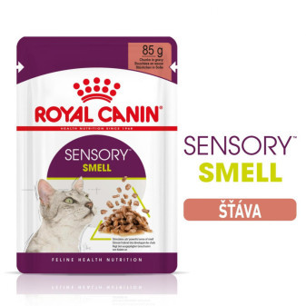 Kapsička Royal Canin FHN Sensory Smell ve stave 12 x 85g