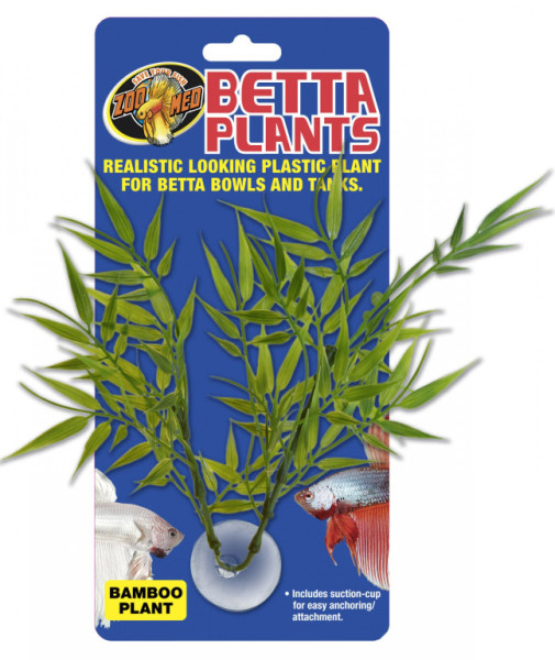 Betta Plant - Bambus